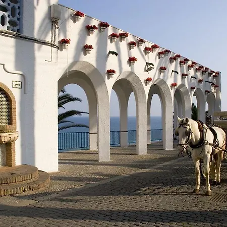 Plaza Cavana 5
